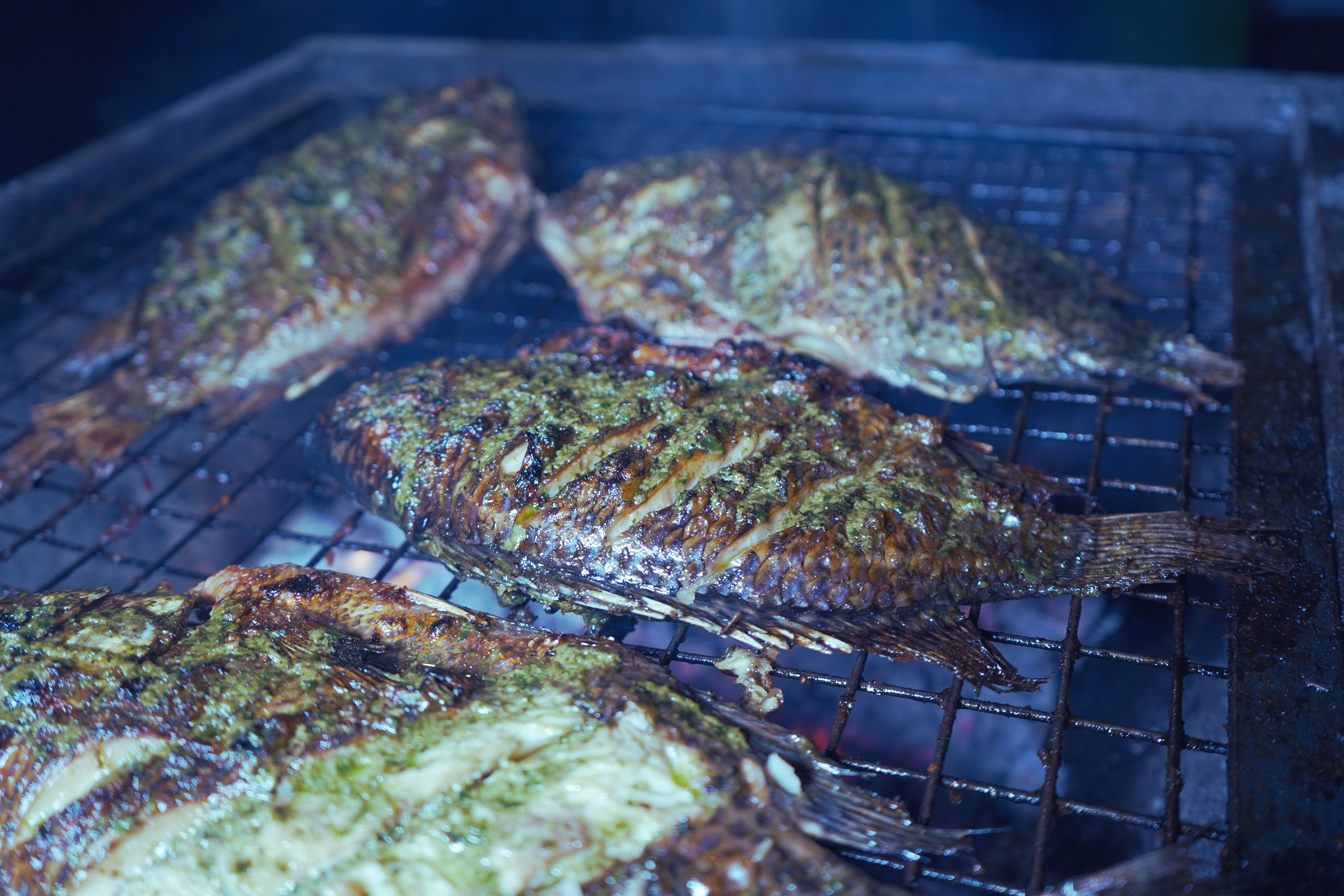 Grilled Tilapia